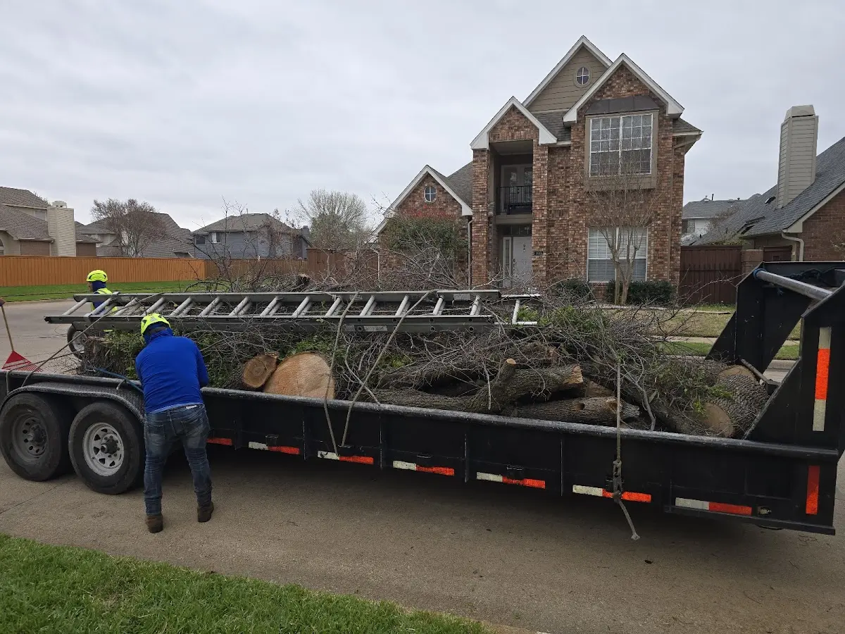 Expert Tree Fertilization with proper safety equipment in Brantingham
